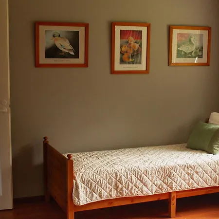 Cozy Family House Near Saimaa Tatil Evi Mikkeli